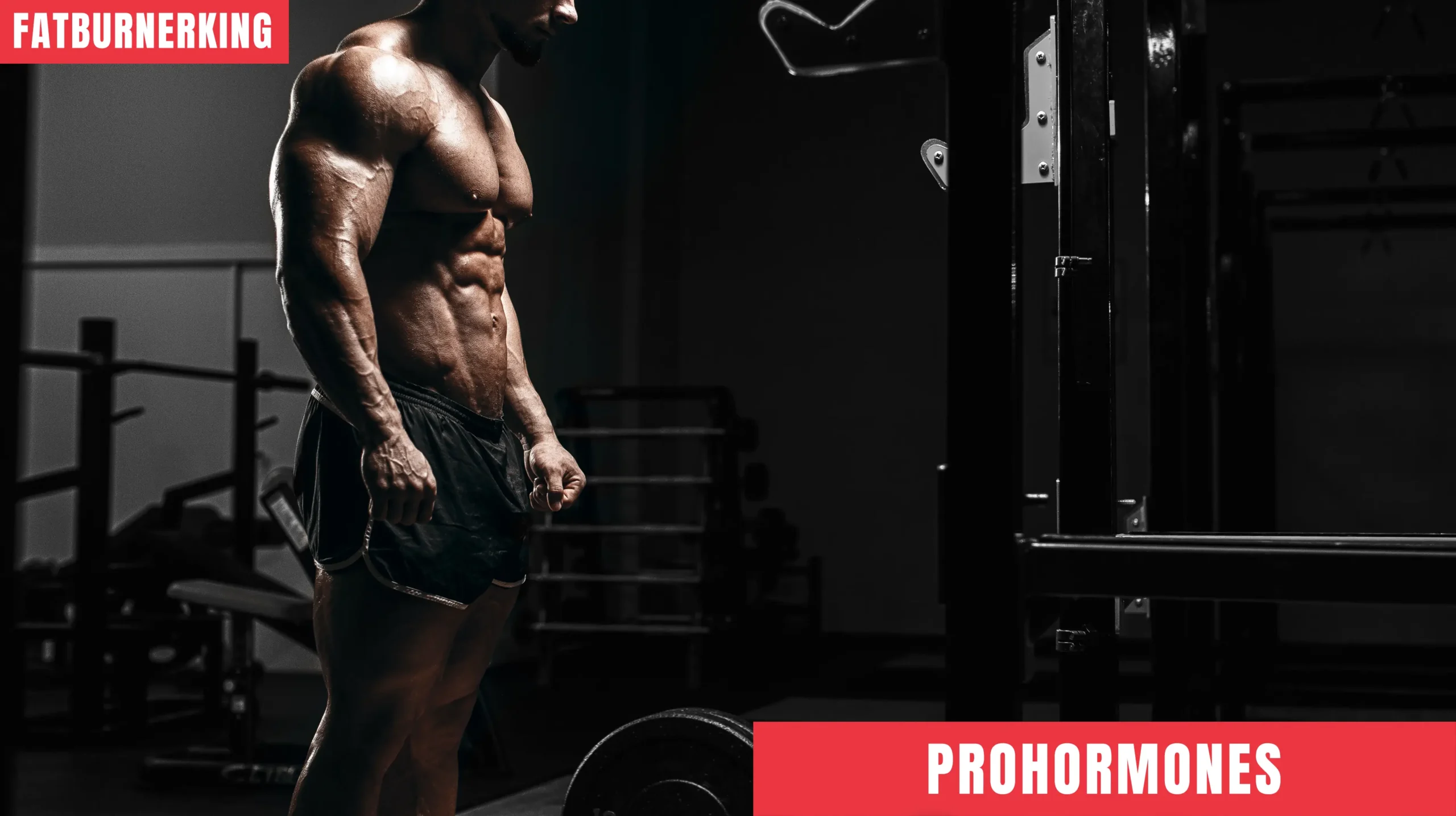 Prohormone im Sport